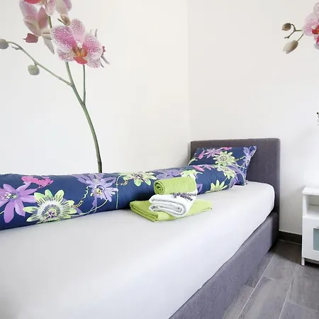 Nicole Design Daire Kožino