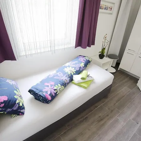 Daire Nicole Design Kožino