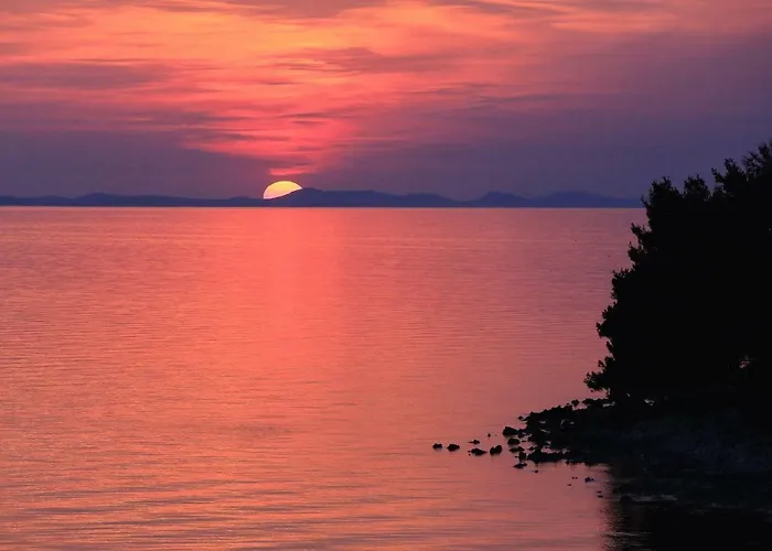 Nicole Design 아파트 Kožino